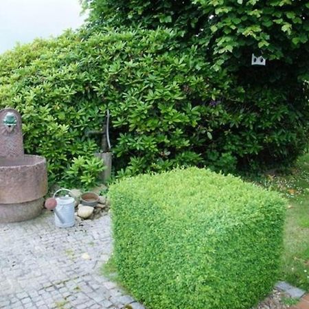 Jonnys Villa Hage Kültér fotó